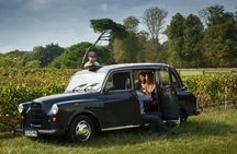 Half-day Pessac Léognan wine tour from Bordeaux
