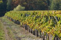 Half-day Pessac Léognan wine tour from Bordeaux