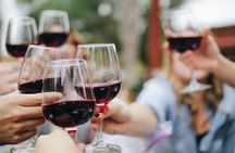 Half-day tour of Peljesac with wine tasting and visit of Ston city