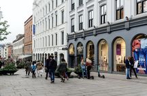 Private and personalized Oslo hidden gems tour with a local - Ditch the guidebook