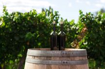 Half-day tour of Peljesac with wine tasting and visit of Ston city
