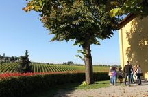 Chianti wine tour from San Gimignano