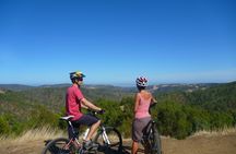 Half-day Lofty Descents tour by bike