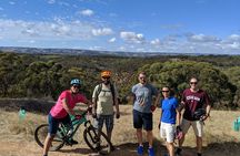 Full-day McLaren Vale bike and wine tour