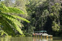 Pamagirri Aboriginal experience and Kuranda tour