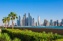 Half-day tour of Dubai and Blue Mosque visit from Sharjah