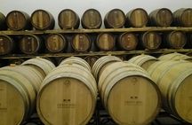Bairrada wine route experience with wine tasting and lunch