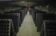 Bairrada wine route experience with wine tasting and lunch