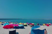 Trip from Porto to Coimbra with Visit in Aveiro and Boat Tour
