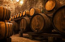 Porto wine walking tour with wine tasting