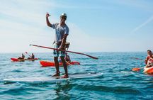 Stand-up paddle caves tour in Albufeira
