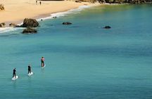 Stand-up paddle caves tour in Albufeira