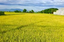 Nha Trang countryside rickshaw tour with guided visits