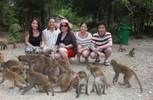 Half-day guided tour to Monkey Island with lunch and transport