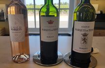 Full-day wine tasting challenge in the Médoc