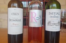 Full-day wine tasting challenge in the Médoc