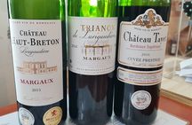 Full-day wine tasting challenge in the Médoc