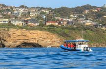 Hunter coastal adventure boat tour
