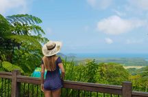 Daintree and Cape Tribulation day tour
