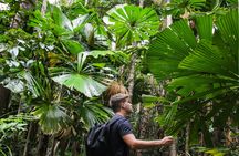 Daintree and Cape Tribulation day tour