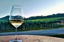 Wine tour in the Euganean Hills from Padua