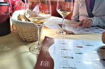 Wine tour in the Euganean Hills from Padua