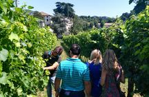 Wine tour in the Euganean Hills from Padua