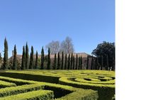 Borges Labyrinth, Wood of the Foundation and the Vatican chapels tour with audio guide