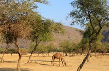Jebel Samhan in Salalah full day tour