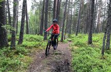 Mountain biking experience through the Voss forest