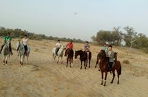 Horseback ride through Dubai desert park
