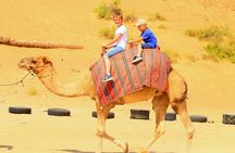 Quad safari in Ras Al Khaimah with optional dinner at the camp