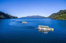 Tarawera and lakes eco tour
