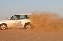 Dubai morning desert safari with camel ride