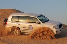 Dubai morning desert safari with camel ride