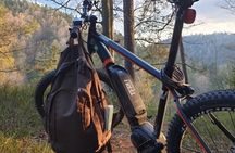 Guided e-bike tour in the Bavarian Forest National Park