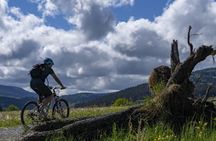 Guided e-bike tour in the Bavarian Forest National Park