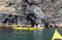 Kayaking and evening penguin tour