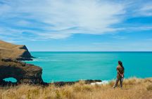 Scenic nature safari half-day tour