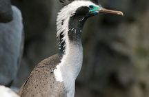 Scenic nature safari half-day tour