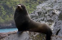 2-hours nature tour