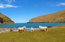 2-hours nature tour