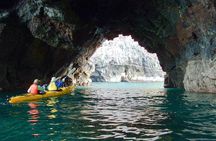 Kayaking and evening penguin tour