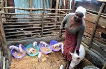 Kenyan family ties of the Maasai and Kikuyu ethnic groups 2-day tour from Nairobi