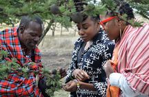 Maasai Eco and Culture Tour from Nairobi