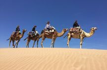 Camel Ride on the Beach of Essaouria