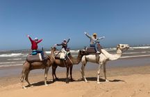 Camel Ride on the Beach of Essaouria