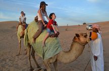 Camel ride with optional dinner at the camp in Ras Al Khaimah