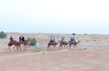 Camel ride with optional dinner at the camp in Ras Al Khaimah