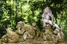 Customizable Full-Day Tour of Bali with Private Driver